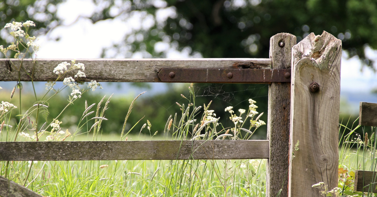 Featured Image for The Benefits of Leasing Your Land